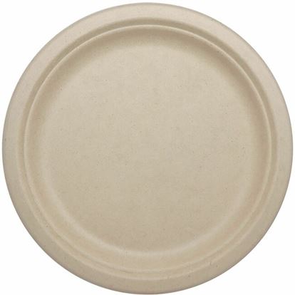 World Centric Compostable Fiber Plate 1