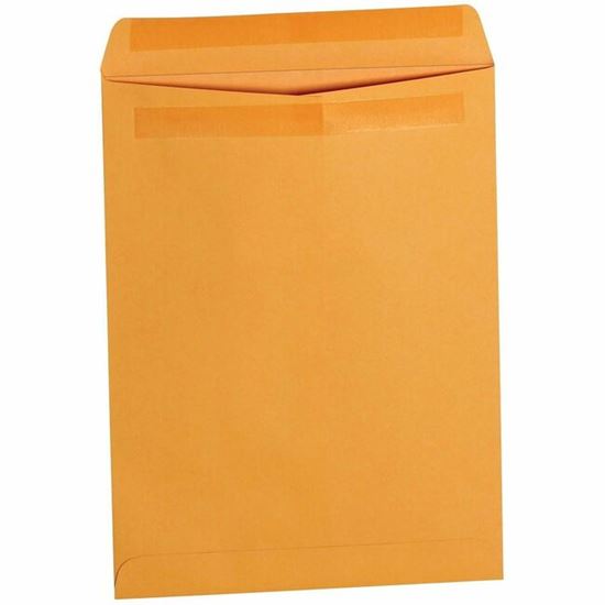 Business Source Self-Seal Catalog Envelopes 1