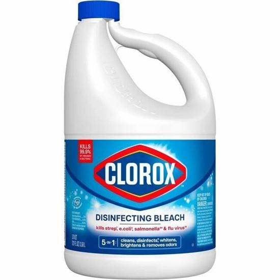 Clorox Disinfecting Bleach 1