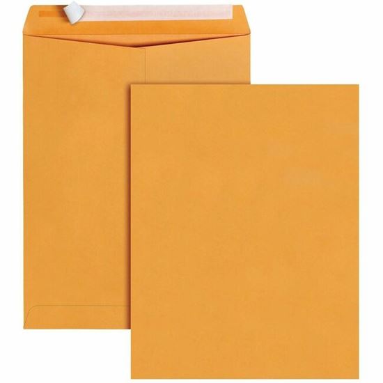 Business Source Kraft Peel-and-Stick Catalog Envelopes 1