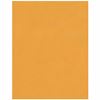 Business Source Kraft Peel-and-Stick Catalog Envelopes 2