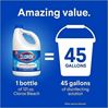 Clorox Disinfecting Bleach 2