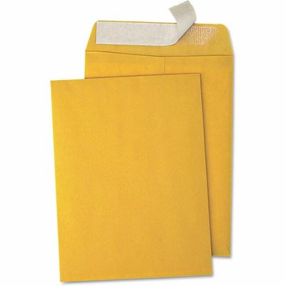 Business Source Kraft Peel-and-Stick Catalog Envelopes 1