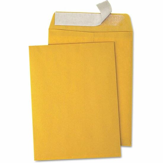 Business Source Kraft Peel-and-Stick Catalog Envelopes 1