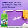 Fabuloso All-Purpose Cleaner 5