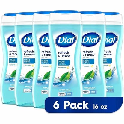 Dial Refresh & Renew Body Wash 1