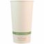 World Centric Compostable NoTree Paper Hot Cups 1