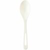 World Centric Spoon 1