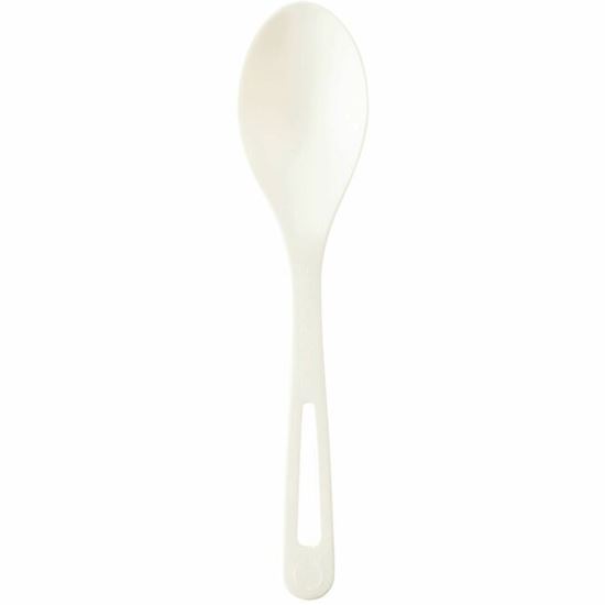World Centric Spoon 1