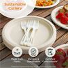 World Centric Spoon 2
