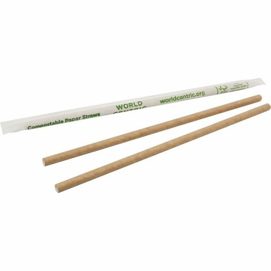 World Centric Compostable Kraft Paper Straws 1