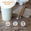 World Centric Compostable Kraft Paper Straws 2