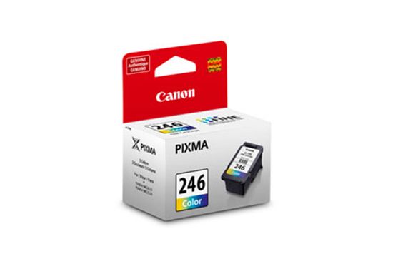 CANON PIXMA MG2420 - COLOR InkJet Ink - 180 page yield 1