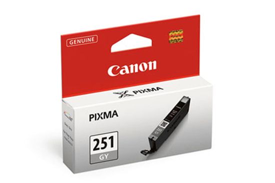 CANON PIXMA MG5450 - GRAY InkJet Ink - 780 page yield 1