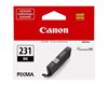 CANON PIXMA TS8820 - BLACK InkJet Ink - 600 page yield 1