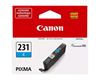 CANON PIXMA TS8820 - BLACK InkJet Ink - 800 page yield 1