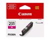 CANON PIXMA TS8820 - BLACK InkJet Ink - 800 page yield 1