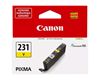 CANON PIXMA TS8820 - BLACK InkJet Ink - 800 page yield 1