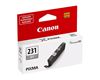 CANON PIXMA TS8820 - BLACK InkJet Ink - 8.2ML page yield 2