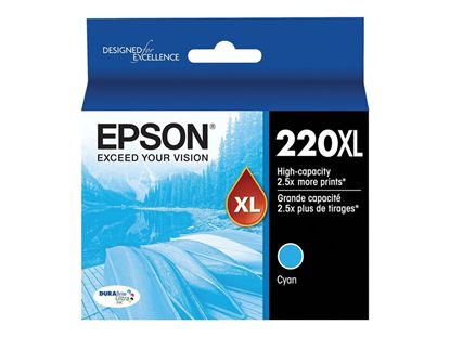 EPSON WORKFORCE 2630 - CYAN InkJet Ink - 450 page yield 1