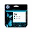 HP DESIGNJET Z3100 - BLUE/GREEN InkJet Ink 1