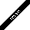 SW PREM BRT 1/4" TZ TAPE - BLACK Paper and Access. 1
