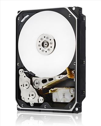 Western Digital Ultrastar He10 3.5" 8000 GB Serial ATA III1