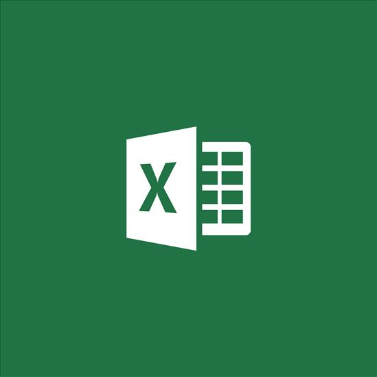 Microsoft Excel Open Value License (OVL)1