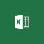 Microsoft Excel Open Value License (OVL)1