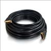 C2G 10ft Pro Series DVI-D CL2 DVI cable 120.1" (3.05 m) Black1