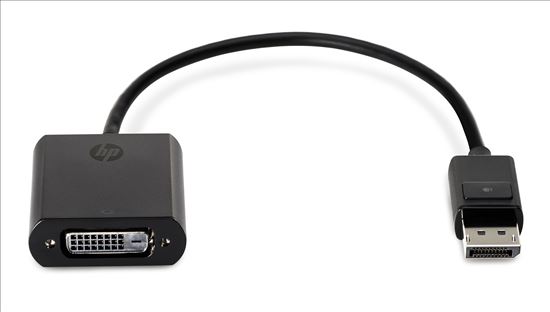 HP DisplayPort to DVI Adapter1