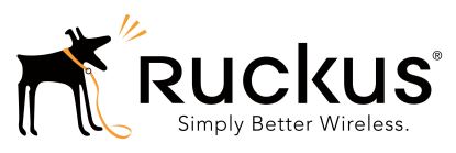 Ruckus Wireless 804-T300-3R00 warranty/support extension1