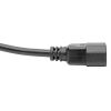 Tripp Lite C14 Male to C13 Female Power Cable, C13 to C14 PDU-Style, Locking C13 Connector, 10A, 18 AWG, 0.31 m5