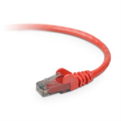 Belkin 0.15m RJ45 networking cable Red 5.91" (0.15 m) Cat6 U/UTP (UTP)1