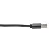 Tripp Lite U038-006-CRA USB cable 70.9" (1.8 m) USB 2.0 USB A USB C Black5