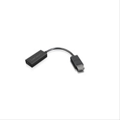 Lenovo 4X90R61023 video cable adapter 8.86" (0.225 m) DisplayPort HDMI Type A (Standard) Black1