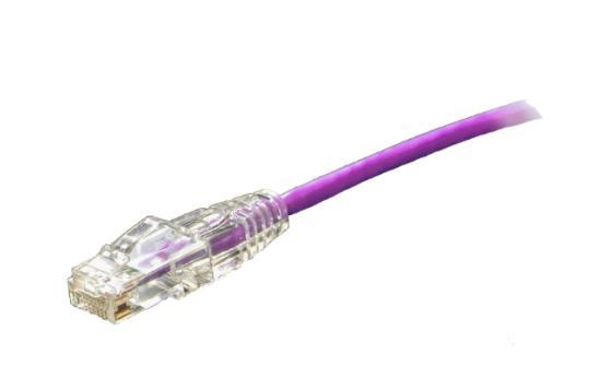 Weltron 90-C6CBSL-PL-000.5 networking cable Purple 6" (0.152 m) Cat61