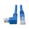 Tripp Lite N204-001-BL-DN networking cable Blue 12.2" (0.31 m) Cat6 U/UTP (UTP)1