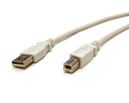 Bytecc USB2-AB USB cable 120" (3.05 m) USB 2.0 USB A USB B White1