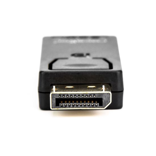 Rocstor Y10A170-B1 cable gender changer DisplayPort HDMI Black1