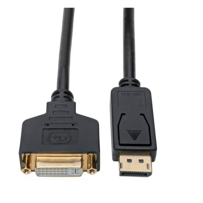 Tripp Lite P134-001-GC video cable adapter 12.2" (0.31 m) DisplayPort DVI-I Black1
