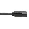 Tripp Lite P004-18N-2C13 power cable Black 18" (0.457 m) C14 coupler 2 x C13 coupler4