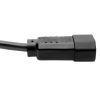 Tripp Lite P004-18N-2C13 power cable Black 18" (0.457 m) C14 coupler 2 x C13 coupler6