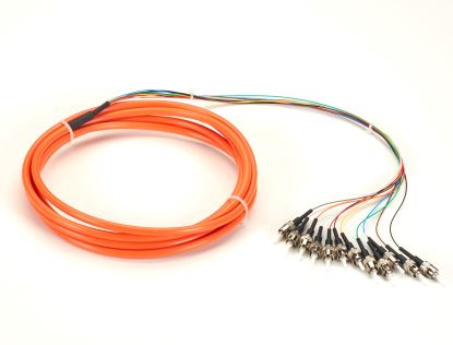 Black Box FOPT50M1-ST-12OR-3 fiber optic cable 118.1" (3 m) 12x ST OFNR OM1 Orange1