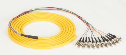 Black Box FOPT50S1-ST-12YL-3 fiber optic cable 118.1" (3 m) 12x ST OFNR OS2 Yellow1