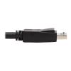 Tripp Lite P783-010-DP KVM cable Black 120.1" (3.05 m)5