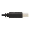 Tripp Lite P783-010-DP KVM cable Black 120.1" (3.05 m)7