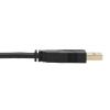 Tripp Lite P783-010-DPU KVM cable Black 120.1" (3.05 m)8