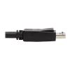 Tripp Lite P783-010-U KVM cable Black 120.1" (3.05 m)5