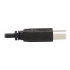 Tripp Lite P783-010-U KVM cable Black 120.1" (3.05 m)7